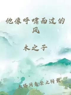 他像呼啸而过的风