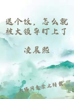 送个饭,怎么就被大领导盯上了