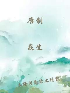 唐制